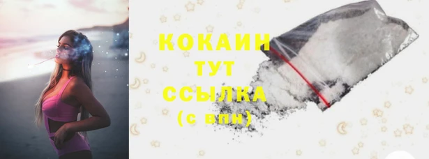 PSILOCYBIN Волосово