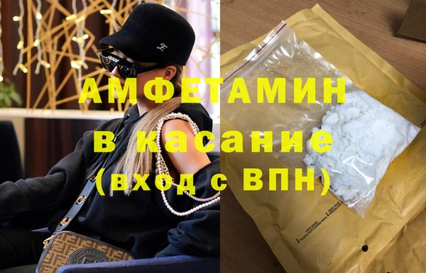 PSILOCYBIN Волосово